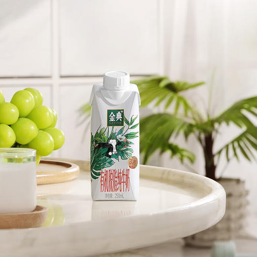 伊利金典有机脱脂纯牛奶（梦幻盖）250ml×10盒 商品图4