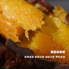 企鹅市集|河北太行山 甜蜜薯红薯5斤装（中大果） 太行山脉优秀品种 肉质细腻香甜 商品缩略图3