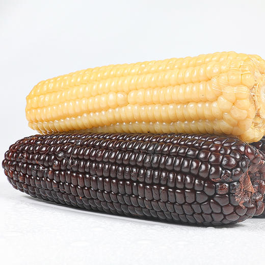 【产地直发】山西有机甜糯玉米 白/黑  220g*8 商品图2