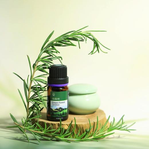 菜头商城植物精油（5款可选）任购三瓶即赠一只精油宠物 商品图1