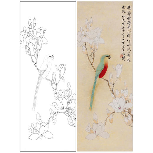 于非闇工笔画白描底稿《玉兰鹦鹉》临摹勾线高清打印稿YL28 商品图0