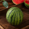 山东2K手撕小糖丸西瓜 当季新鲜水果 京东发货 商品缩略图6