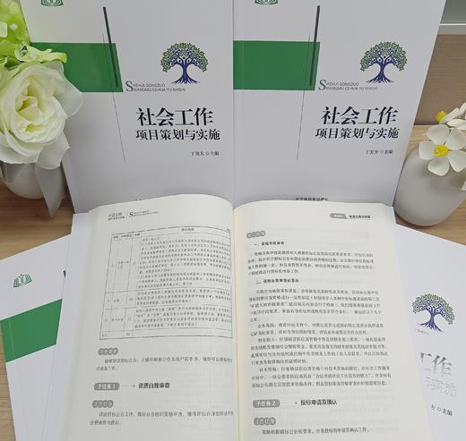 社会工作项目策划与实施 商品图2