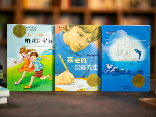 《新蕾国际大奖小说》全15册  一次汇集"儿童文学界的诺贝尔奖"本本获奖,涵盖孩子所有成长主题 商品图4