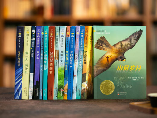 《新蕾国际大奖小说》全15册  一次汇集"儿童文学界的诺贝尔奖"本本获奖,涵盖孩子所有成长主题 商品图0