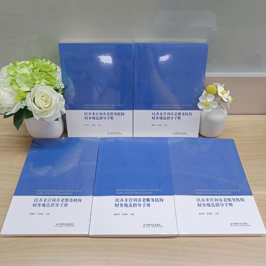 民办非营利养老服务机构财务规范指导手册 商品图1