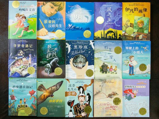 《新蕾国际大奖小说》全15册  一次汇集"儿童文学界的诺贝尔奖"本本获奖,涵盖孩子所有成长主题 商品图2