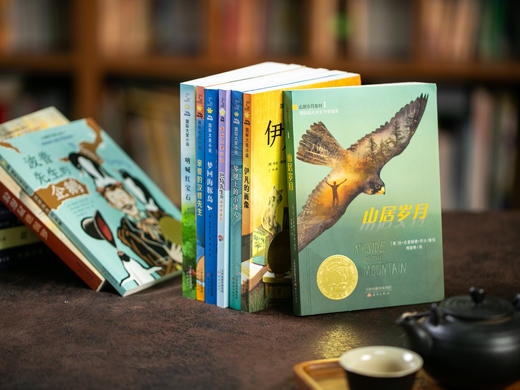 《新蕾国际大奖小说》全15册  一次汇集"儿童文学界的诺贝尔奖"本本获奖,涵盖孩子所有成长主题 商品图1