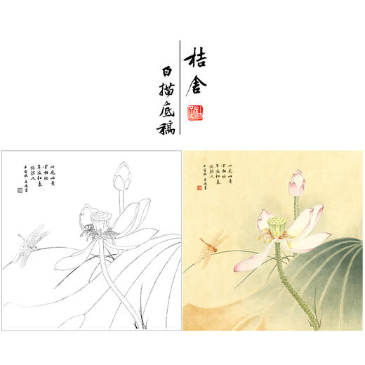 王后波工笔画白描底稿荷花蜻蜓《一瓣心香》临摹勾线高清打印稿YL21 商品图0
