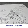 俞致贞工笔画白描底稿《芙蓉凤蝶》临摹勾线高清打印稿YL05 商品缩略图4