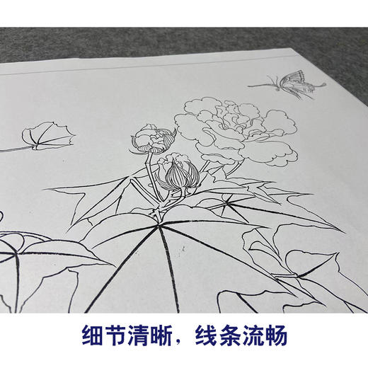 俞致贞工笔画白描底稿《芙蓉凤蝶》临摹勾线高清打印稿YL05 商品图4