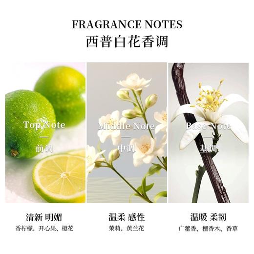 杜鲁萨迪菁纯茉莉香型女士香氛60ml 商品图2