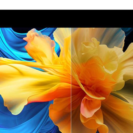 TCL 65P11H液晶电视 商品图3