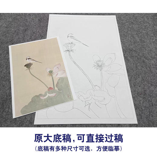 任重工笔画白描底稿荷花《秋荷鹡鸰》临摹勾线高清打印稿YL25 商品图1