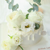 女士款 纯白之恋 洋桔梗 玫瑰 鲜花 商品缩略图1