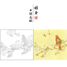 陈之佛工笔画白描底稿《玉兰鹦鹉》临摹勾线高清打印稿YL06