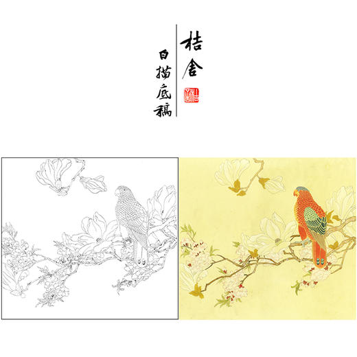 陈之佛工笔画白描底稿《玉兰鹦鹉》临摹勾线高清打印稿YL06 商品图0