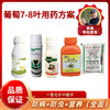 葡萄7-8叶方案包    防病/防虫/营养   10壶水 商品缩略图0
