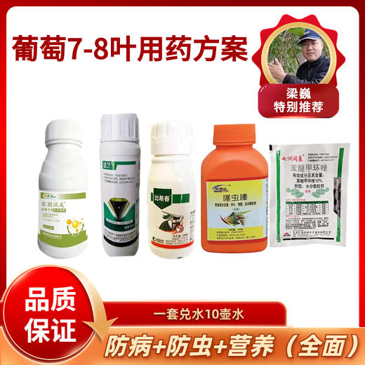 葡萄7-8叶方案包    防病/防虫/营养   10壶水 商品图0