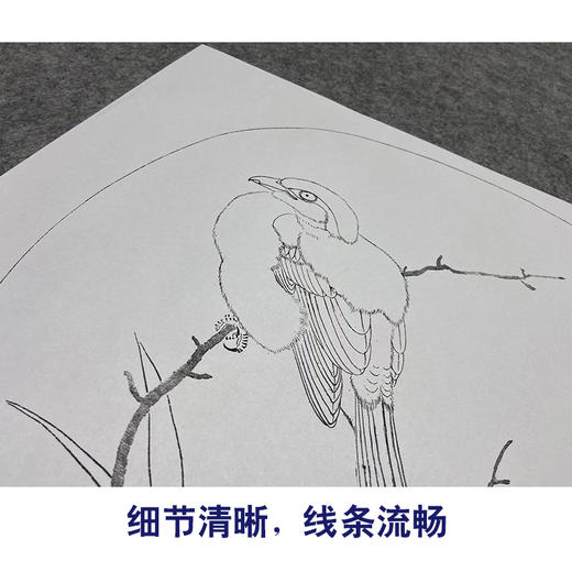 李安忠工笔画白描底稿《竹鸠图》临摹勾线高清打印稿YL09 商品图4