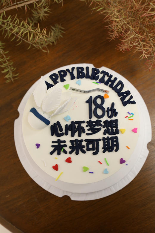 羽毛球—未来可期 商品图0