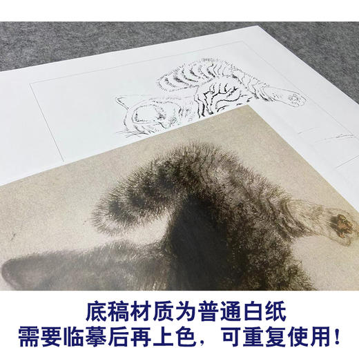 米春茂工笔画白描底稿《猫》临摹勾线高清打印稿YL14 商品图3