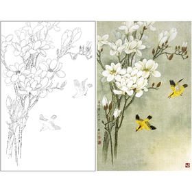 周中耀工笔画白描底稿玉兰花《高洁图》临摹勾线高清打印稿YL17