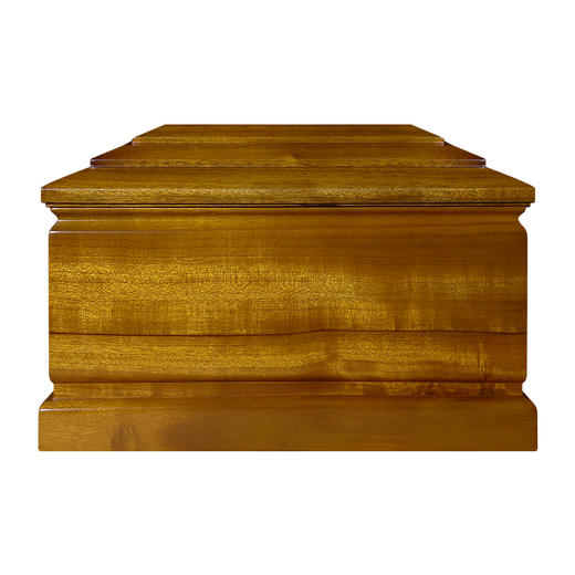 小叶桢楠  纪念堂 小号 商品图10