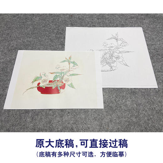 任重工笔画白描底稿《白云香一枝》临摹勾线高清打印稿YL10 商品图1