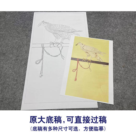 于非闇工笔画白描底稿《御鹰图》临摹勾线高清打印稿YL12 商品图1