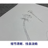 任重工笔画白描底稿荷花《秋荷鹡鸰》临摹勾线高清打印稿YL25 商品缩略图4