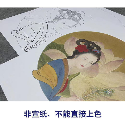 王后波工笔画白描底稿《荷花娇欲语》临摹勾线高清打印稿HB01 商品图2