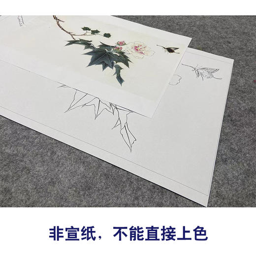 俞致贞工笔画白描底稿《芙蓉凤蝶》临摹勾线高清打印稿YL05 商品图2