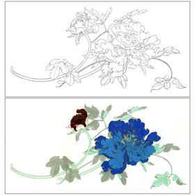 任重工笔画白描底稿《佛头青》临摹勾线高清打印稿YL08