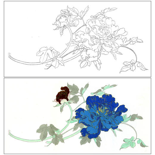 任重工笔画白描底稿《佛头青》临摹勾线高清打印稿YL08 商品图0
