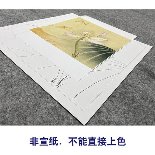 王后波工笔画白描底稿荷花蜻蜓《一瓣心香》临摹勾线高清打印稿YL21 商品图2