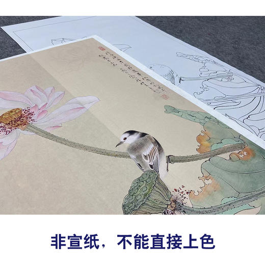 任重工笔画白描底稿荷花《浮香华池图》临摹勾线高清打印稿YL16 商品图2