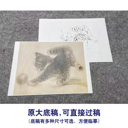 米春茂工笔画白描底稿《猫》临摹勾线高清打印稿YL14 商品图1
