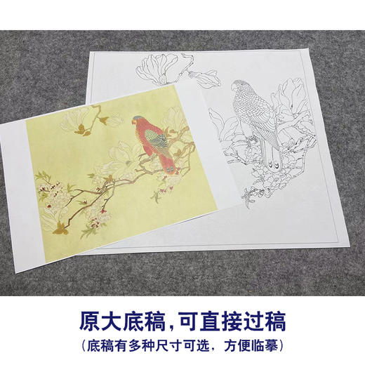 陈之佛工笔画白描底稿《玉兰鹦鹉》临摹勾线高清打印稿YL06 商品图1