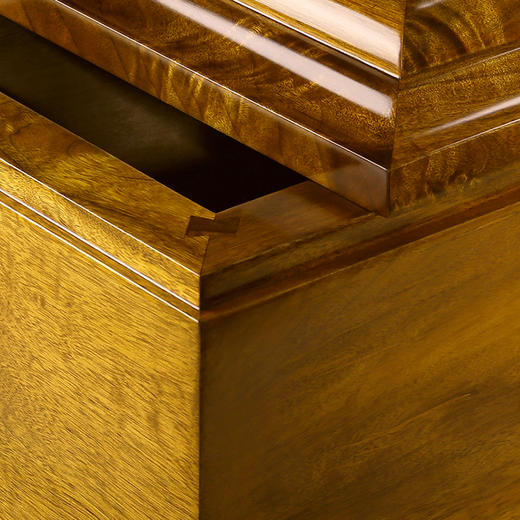 清雅-小叶桢楠 商品图2