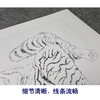 米春茂工笔画白描底稿《猫》临摹勾线高清打印稿YL14 商品缩略图4