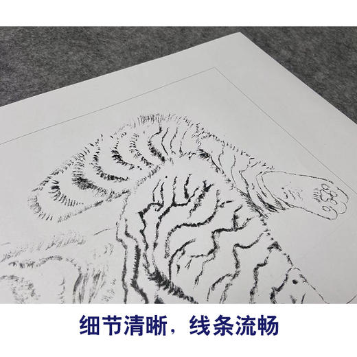 米春茂工笔画白描底稿《猫》临摹勾线高清打印稿YL14 商品图4