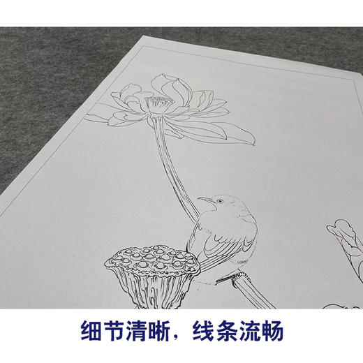 任重工笔画白描底稿荷花《浮香华池图》临摹勾线高清打印稿YL16 商品图4