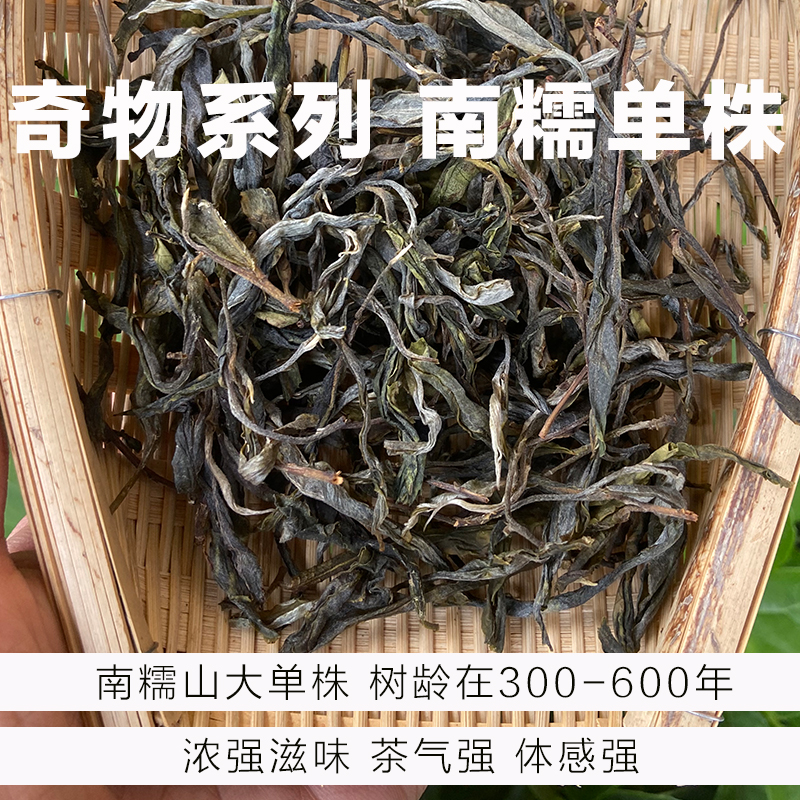 奇物系列-2024年-南糯大单株500年茶树