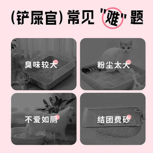 心选丨喵铮铮天然原矿矿石猫砂 10斤/包 沸石活性炭矿砂除臭耐用无扬尘 商品图4