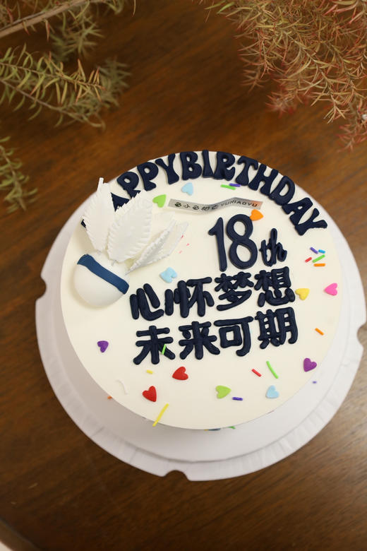 羽毛球—未来可期 商品图1