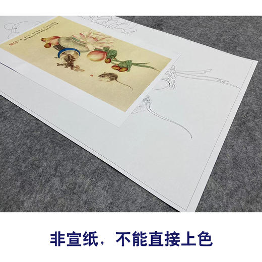 吕大卫工笔画白描底稿桃子荷花《蔬果》临摹勾线高清打印稿YL24 商品图2