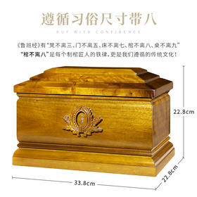 小叶桢楠  思念宫