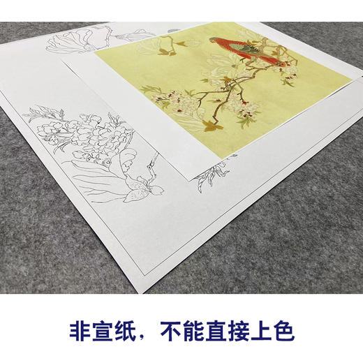 陈之佛工笔画白描底稿《玉兰鹦鹉》临摹勾线高清打印稿YL06 商品图2
