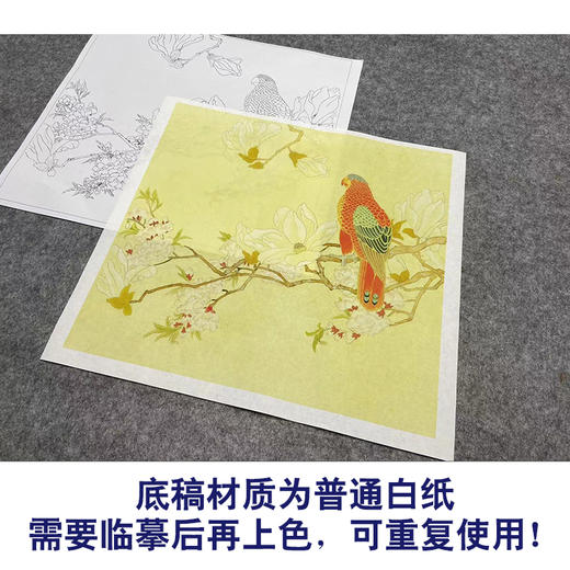 陈之佛工笔画白描底稿《玉兰鹦鹉》临摹勾线高清打印稿YL06 商品图3
